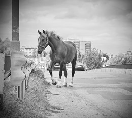 в городской суете / ***