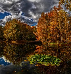 Начало осени на пруду 3. / Сокольники.
