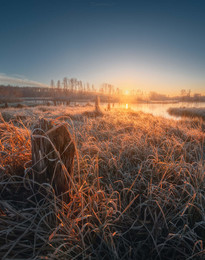 Морозное утро / Морозное утро на реке Мильчус, Рязанская область.