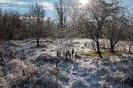 &nbsp; / &quot; ... Сребрит мороз увянувшее поле ,
 Проглянет день как будто поневоле 
 И скроется за край окружных гор &quot;
 А.С. Пушкин .