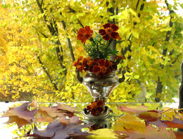 Осеннее настроение / осень осенние листья, цветы
