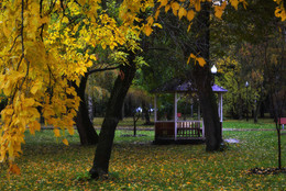 Осень / Москва,парк