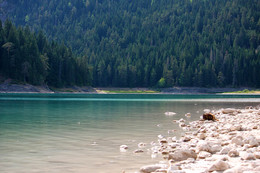 Земная красота / Высокогорное озеро в Черногории