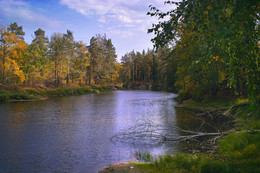 Дальний берег / Осенью на берегу реки, там дальше непроходимые болота