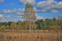 Осенние краски / Начало осени сравнимо с весной. Новые краски, новые запахи.