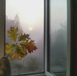 Когда осень стучит в окно / Осень. Окно. Листья