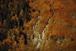 Абхазия / Осень в горах.Абхазия.