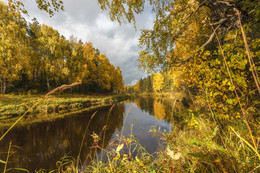 Кобожа / Лесная речка Кобожа, Осень