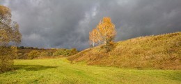 В лучах осеннего света / осень