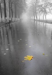 Осень... / Парк Липки г. Владимир