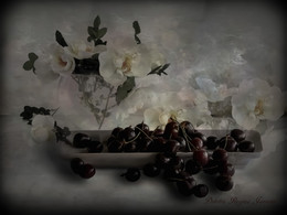 cherries with roses / fantasy, collage, still life
