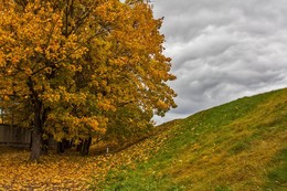 Краски осени. / Дерево, листья опавшие, разноцветье осени.