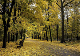 Осень в парке / Падает листва ...