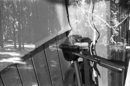 &nbsp; / пленка Rollei RPX 100
проявитель Д-76
время проявки 10 минут