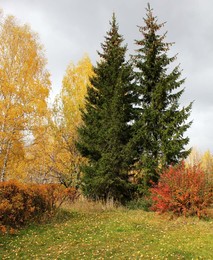 Осенняя палитра. / В пришкольном сквере выросли деревья.
Вот осень снова заявилась на покрас,
Вновь по газонам полетели листья.
Зелёный примет красно-жёлтых напоказ!