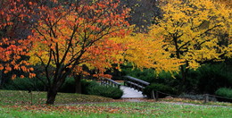 Осень в Японском саду. / Японский сад в Ботаническом саду Москвы.