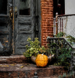 Уличный Натюрморт / В преддверии хэллоуина жители Бруклина украшают свои дома.