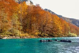Осень на реке Тара / Фотография для конкурса «Воспоминания об осени»
