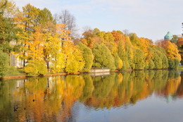 Осень в Таврическом саду / Золотая осень в Санкт-петербурге