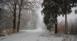 В тумане путник одинокий / Прогулка по заснеженным дорожкам природного парка
