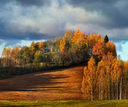 Природа осенью / Возвышенность Хаанья. Эстония