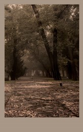 Зернистая пятница / Туманное утро
холодная сырость
горечи привкус
тихо и грустно