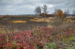 Цветная осень... / Nikon D7000