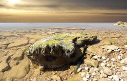 ХАДЖИБЕЙ / одесса