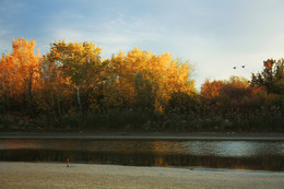 Утки над озером / ...Вечереет и над озером летают утки, разжирели, утка осенью в большой цене. А.Розенбаум