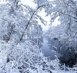 Зимняя река / Природа Беларуси