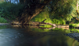 Тёплым вечером у брода / ND1000