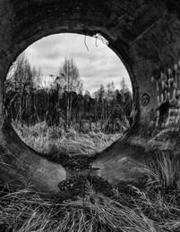 Наследие ( к дискусу о красоте и помойке ) / Подмосковье, лес, колодезное кольцо