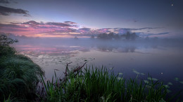 Июньские туманы / Один из июньских рассветов на реке.