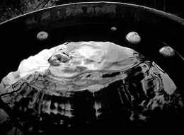 Падалицы / Вселенная яблок. Скан с пленки