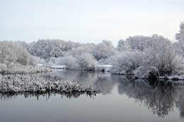 Зимняя сказка Свислочи / Минский парк Дрозды