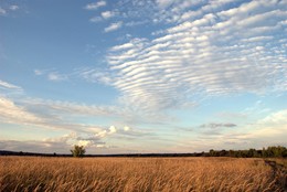 Небесные барханы. / Осень. Небо в причудливых облаках. Они напоминают песчаные барханы. Это осень вспоминает лето.