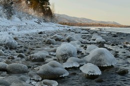 Байкальские медузы / ***
