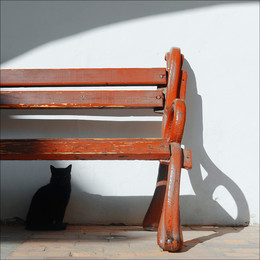  / кошак