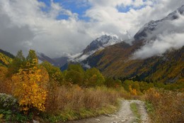 Осень в горах / Алибекская поляна,Домбай