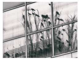 &nbsp; / [img]https://pp.userapi.com/c824411/v824411228/5bcac/xN-tTRbOZmM.jpg[/img]