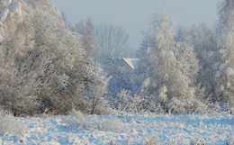 Снежное настроение / ***