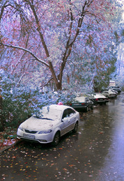 во дворе / ноябрь первый снег