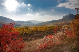 Осень красная зарделась .... / Крым, горы, виноградники, ,солнце