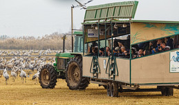Фотографы за работой / Агмон Нула-любимое место фотографов в Израиле,каждую зиму.