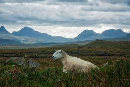 &nbsp; / Aufnahme während einer Wanderung im Glen Afric (Schottland) im Sommer 2017