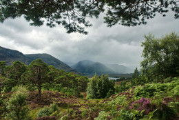 &nbsp; / Eine weitere Aufnahme aus dem Glen Afric aus 2017.