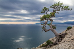 &nbsp; / Крым, море