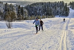 С Новым Годом!!! / Лыжный забег...