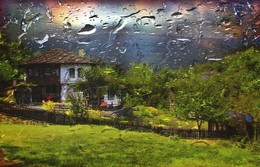  / Summer Rain