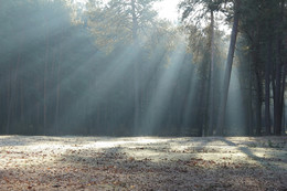 In morning rays 8.8 / Sun rays a game only on 4-5 minutes...